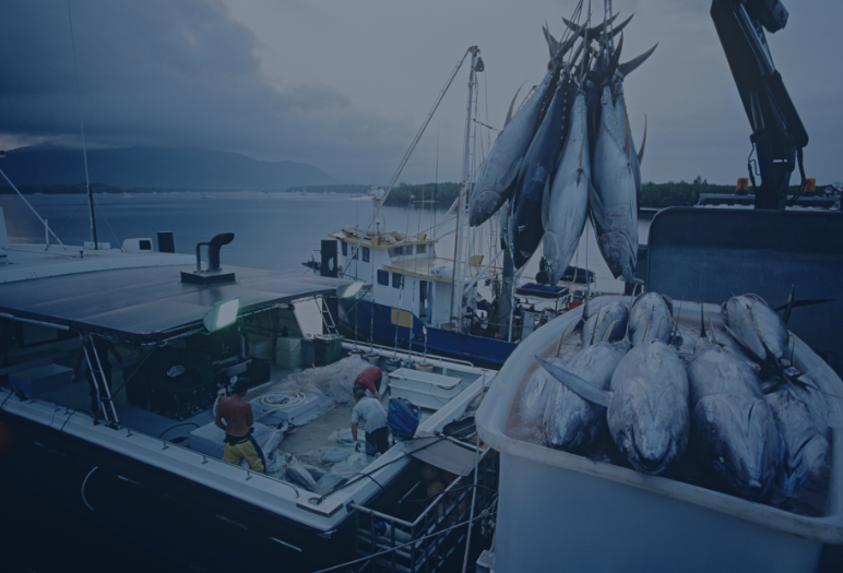 Pacific Island Forum Fisheries Agency: Reliable Turnkey Solution with VMware vSphere and VEEAM as Back-Up