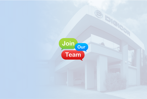 Account Manager - Sales Department New Zealand
