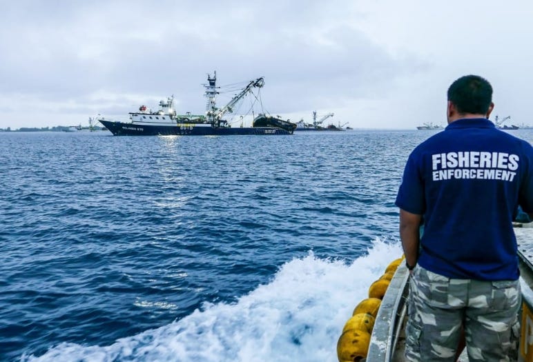 Pacific governance IT